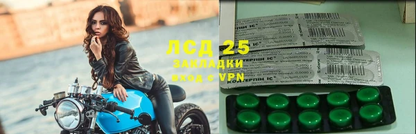 ПСИЛОЦИБИНОВЫЕ ГРИБЫ Алзамай