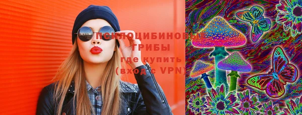 ПСИЛОЦИБИНОВЫЕ ГРИБЫ Алзамай