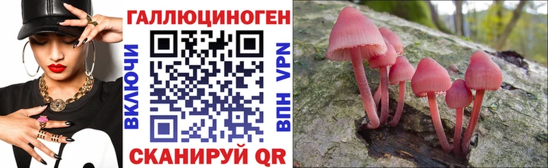 Галлюциногенные грибы прущие грибы  hydra   Краснознаменск  купить наркотик 